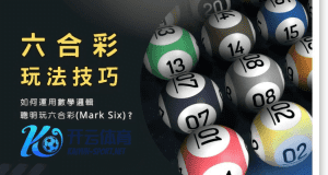 凯发体育手机端彩票六合彩玩法 - 投注技巧